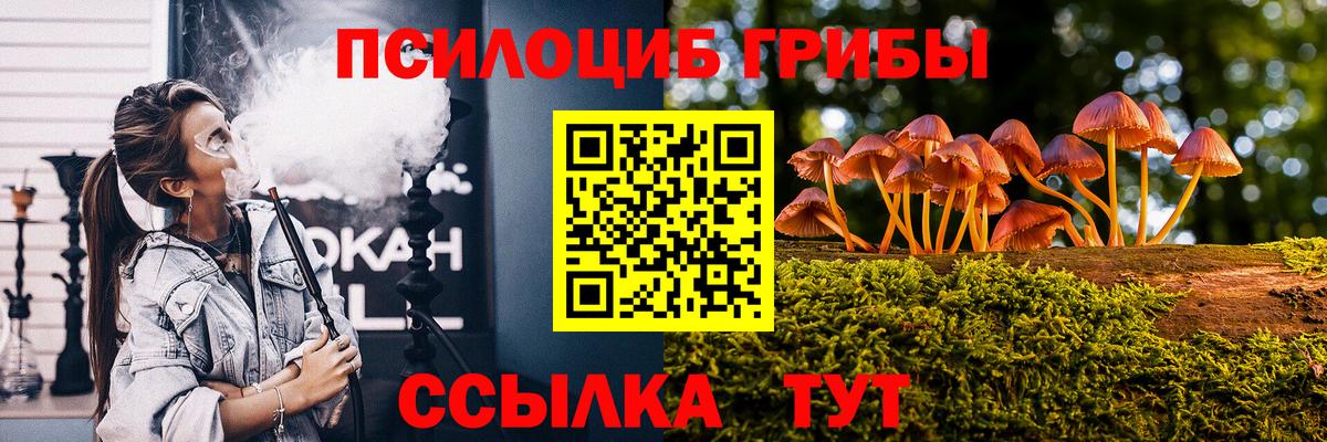 Галлюциногенные грибы Magic Shrooms  Псилоцибиновые грибы Psilocybe  Якутск  Вход с VPN 